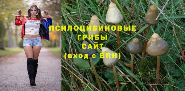 хмурый Белокуриха