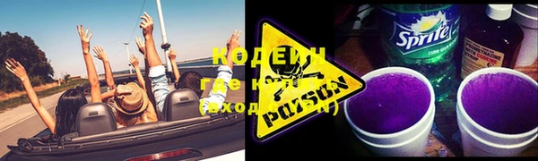 хмурый Белокуриха