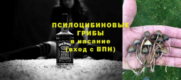 хмурый Белокуриха