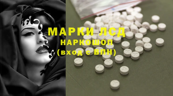 хмурый Белокуриха