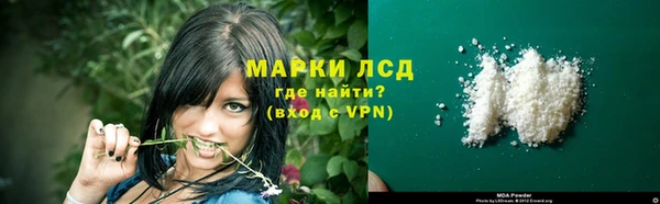 хмурый Белокуриха