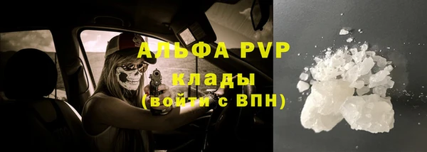 хмурый Белокуриха
