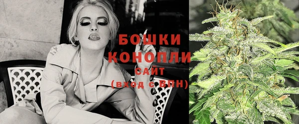 хмурый Белокуриха