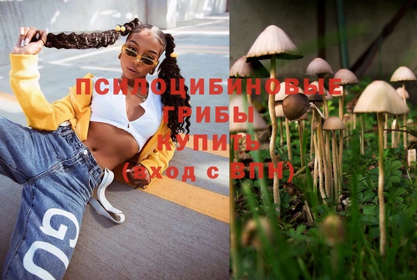 apvp Беломорск