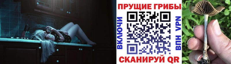 Псилоцибиновые грибы MAGIC MUSHROOMS  даркнет сайт  Кодинск 